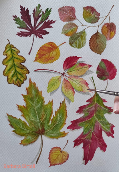 WORKSHOP DI ACQUERELLO